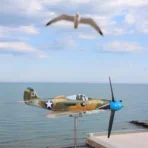 Bell P39 marine grade stainless steel outdoor weathervane operating on a seaside terrace with a flying seagull in the background